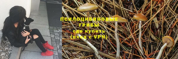 шишки Абинск