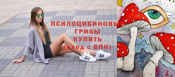 шишки Абинск