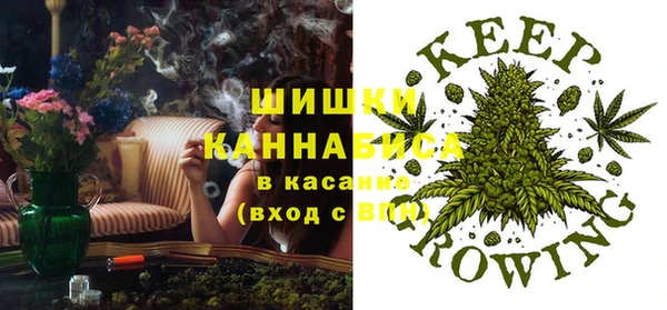 шишки Абинск