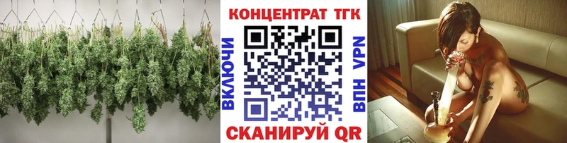 где найти   Нелидово  ТГК концентрат 