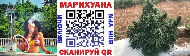 Канабис OG Kush  Нелидово 
